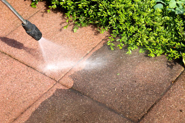 Best Roof Power Washing Services  in Brighton, AL